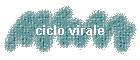 ciclo virale